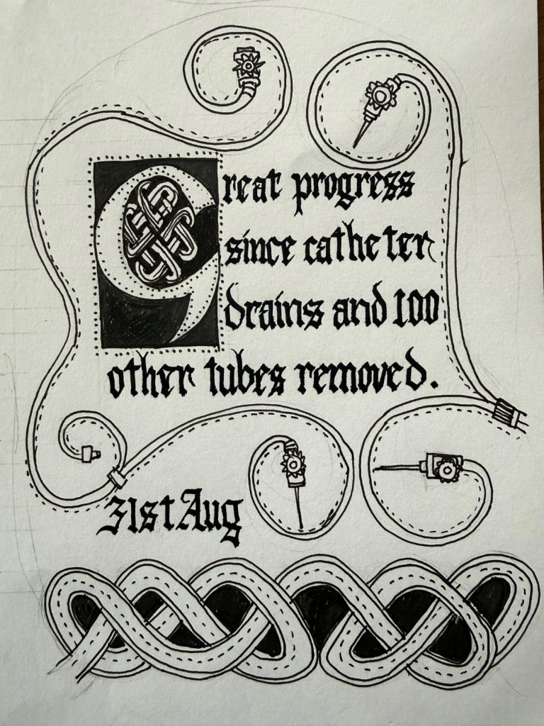 Work in progress. Black and white drawing of Celtic Knots, and text: Forming the design for a Stoma Bag Cover.